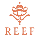 o.5627-removebg-preview